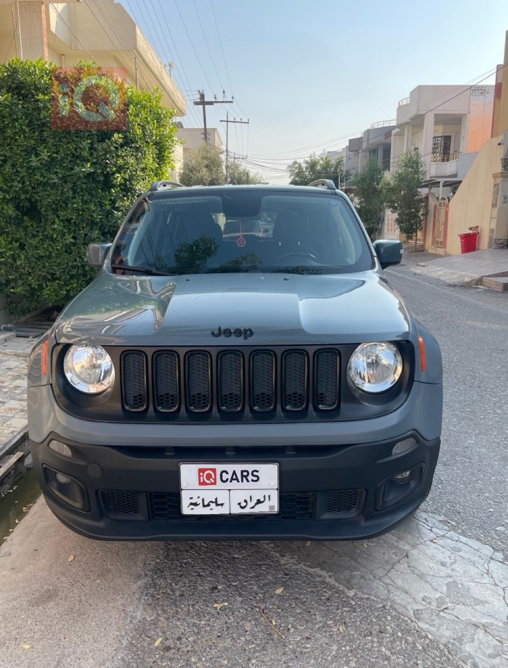 جيب رينيجيد